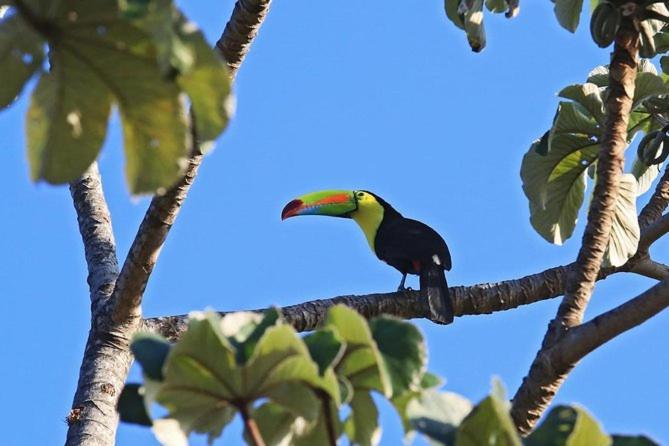 Cabana Itze La Fortuna Екстериор снимка